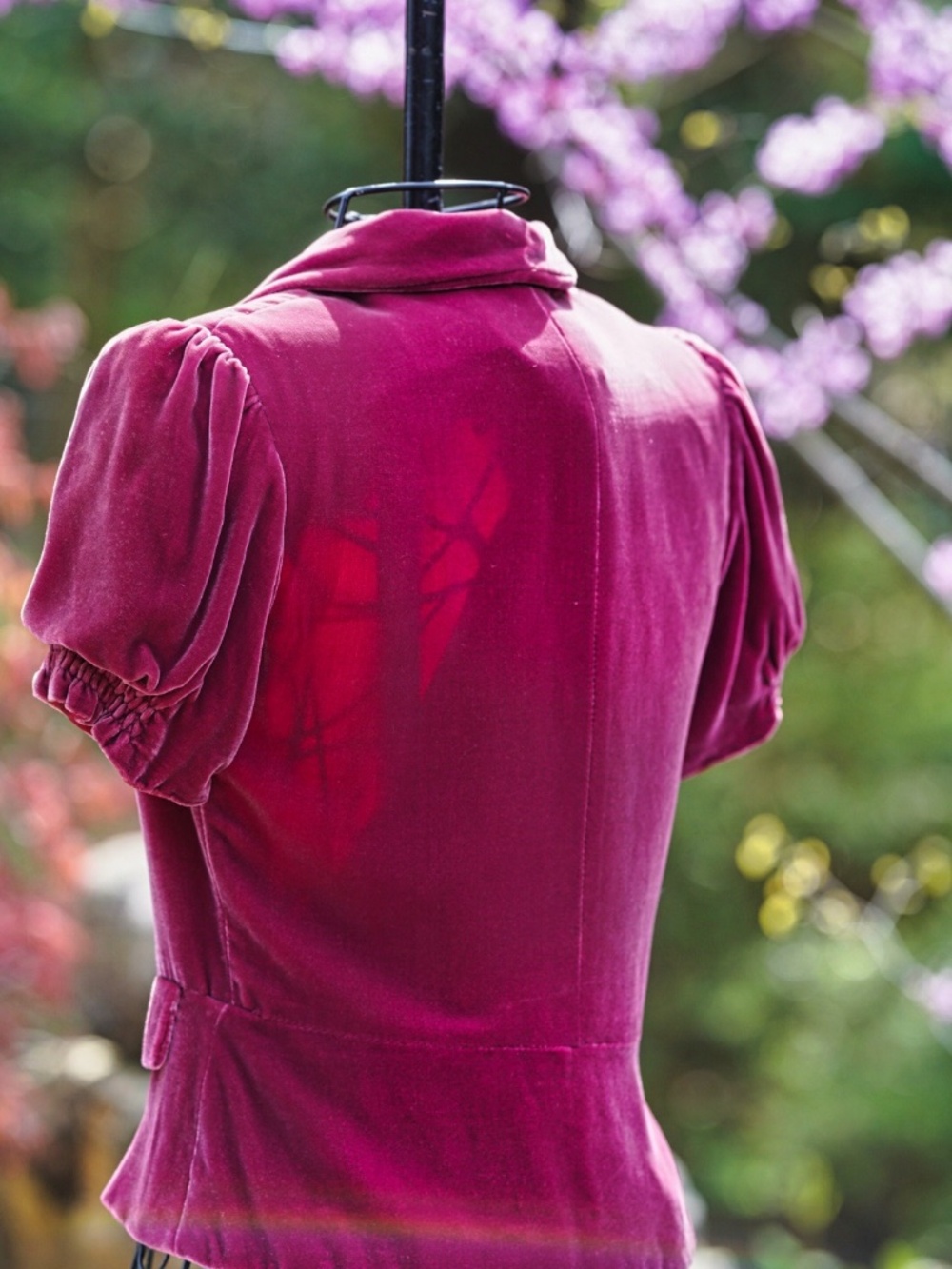 Twelfth Street by Cynthia Vincent Velvet Blazer Jacket - Picture 2 of 4